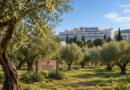 δημιουργία γηπέδου ποδοσφαίρου 11×11