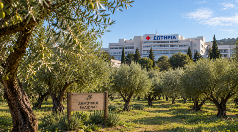 δημιουργία γηπέδου ποδοσφαίρου 11×11
